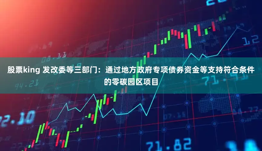 股票king 发改委等三部门：通过地方政府专项债券资金等支持符合条件的零碳园区项目