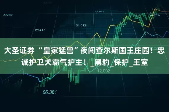 大圣证券 “皇家猛兽”夜闯查尔斯国王庄园！忠诚护卫犬霸气护主！_黑豹_保护_王室