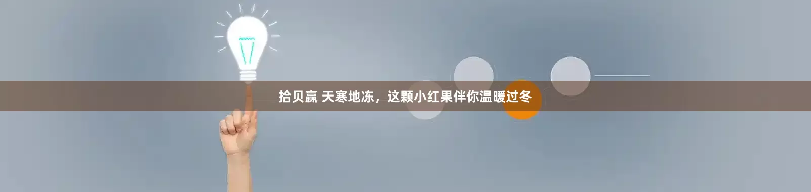拾贝赢 天寒地冻，这颗小红果伴你温暖过冬